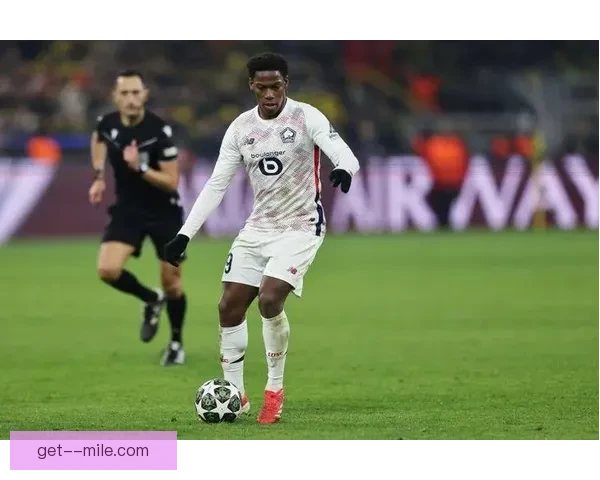 2025夏季转会风云：里尔成功引进意甲顶级前锋